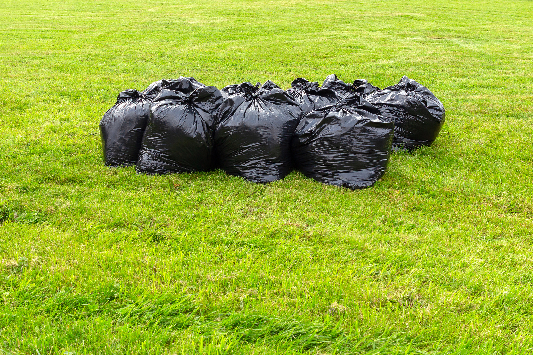 Filled black plastic trash bags on green grass